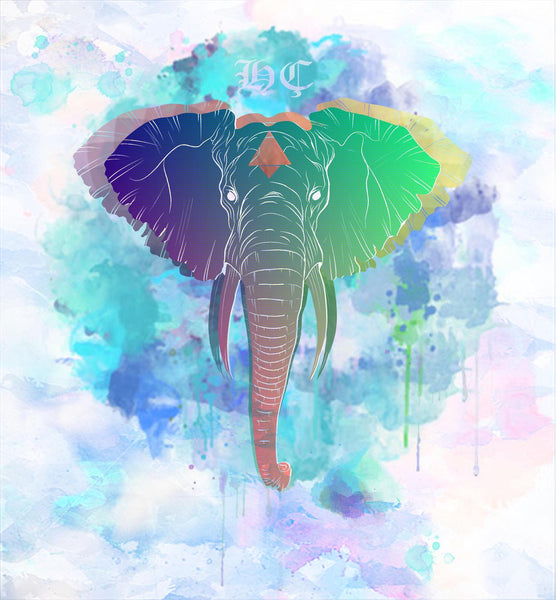 Rainbow Elephant - Framed Prints