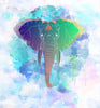 Rainbow Elephant - Canvas Prints