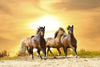 Running Horses - Canvas Prints