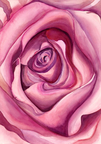 Tallenge Floral Art Collection - Contemporary Painting - Heart Of A Rose - Large Art Prints by Lilly Milton