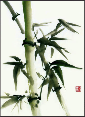 Tallenge Floral Art Collection - Delicate Water Color - Chinese Bamboo Painting - Large Art Prints