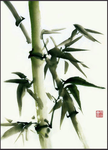 Tallenge Floral Art Collection - Delicate Water Color - Chinese Bamboo Painting - Life Size Posters by Sam Mitchell