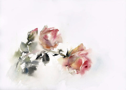 Tallenge Floral Art Collection - Delicate Water Color - Pink Roses - Framed Prints by Sam Mitchell