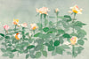 Tallenge Floral Art Collection - Delicate Water Color - Rose Buds - Framed Prints