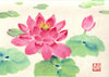 Tallenge Floral Art Collection - Delicate Water Color - Water Lilies - Framed Prints