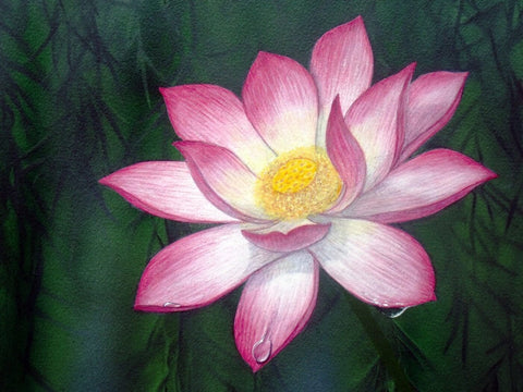 Tallenge Floral Art Collection - Dew Soaked Lotus - Life Size Posters by Michael Pierre