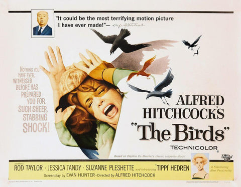 The Birds - Jessica Tandy - Alfred Hitchcock Classic Horror Suspense Film Poster - Art Prints