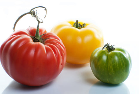 The Colors Of Nature, Captured In Tomatoes - Canvas Prints by Sherly David