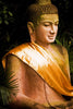The Divine Buddha - Canvas Prints