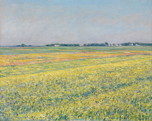 The plain of Gennevilliers, yellow fields - Large Art Prints