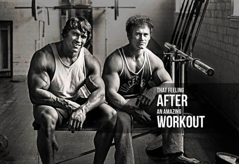 Arnold Schwarzenegger Old Workout The Feeling After An Amazing