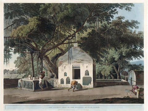 The Sacred Tree of the Hindoos at Gyah, Bahar - Coloured Aquatint - Thomas Daniell - 1790 Vintage Orientalist Paintings of India - Life Size Posters by Thomas Daniell