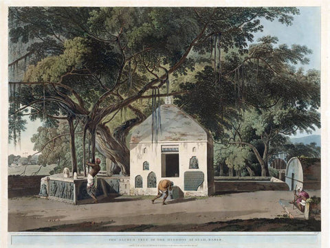 The Sacred Tree of the Hindoos at Gyah, Bahar - Coloured Aquatint - Thomas Daniell - 1790 Vintage Orientalist Paintings of India by Thomas Daniell