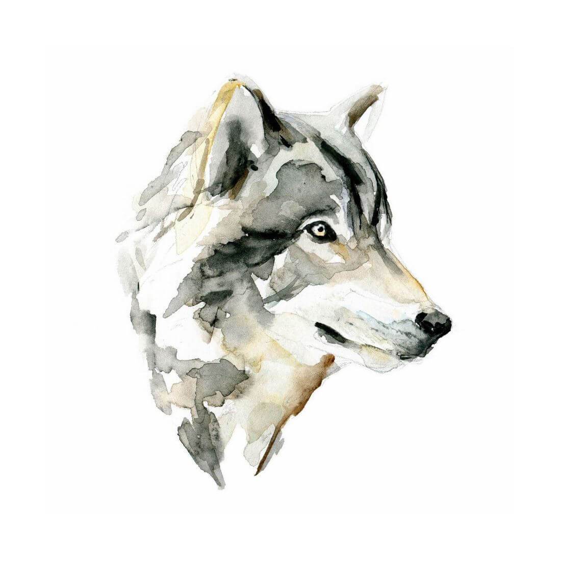 watercolor wolf drawing