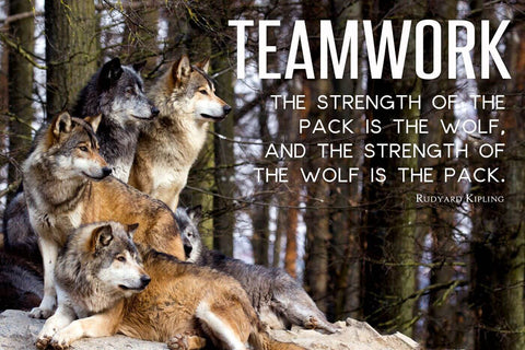 The Strength Of The Pack Is The Wolf And The Strength Of The Wolf Is The Pack - Rudyard Kipling Inspirational Quote Law Of The Jungle - Tallenge Motivational Poster Collection - Large Art Prints