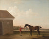 Thoroughbred With A Groom On Newmarket - George Stubbs - Equestrian Horse Painting - Art Prints