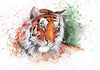 Tiger - A Watercolor - Canvas Prints