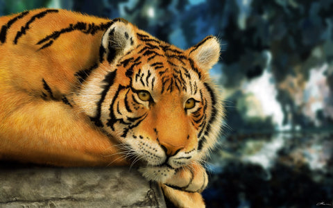 Tiger Painting - Large Art Prints by Tommy