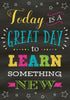 Today Is A Great Day To Learn Something New - Posters