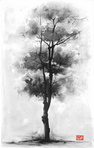 Tree - Large Art Prints by Anonymous Artist