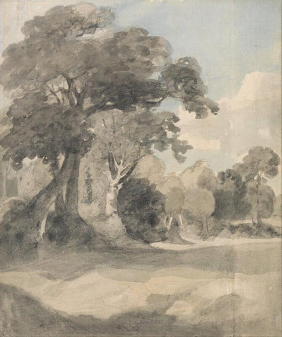 Trees In A Meadow - Large Art Prints by John Constable