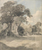Trees In A Meadow - Large Art Prints