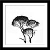 Trees In Silhouette - Silhouettes - Set Of 4 Framed Digital Print With Matte And Glass (24 x 24 inches) each