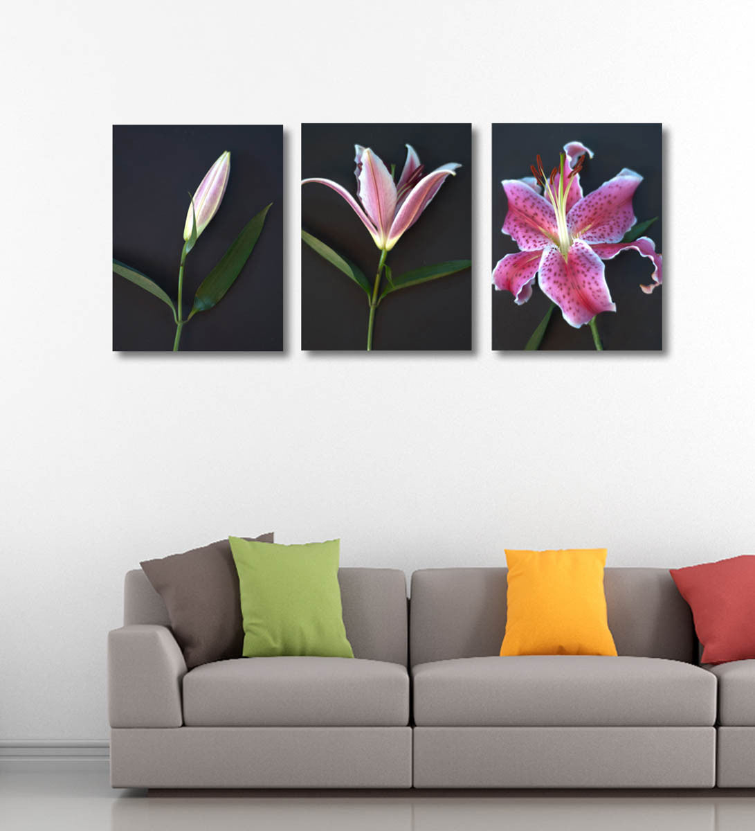 Triptych Flower Study - Art Panels by Hamid Raza | Buy Posters, Frames ...