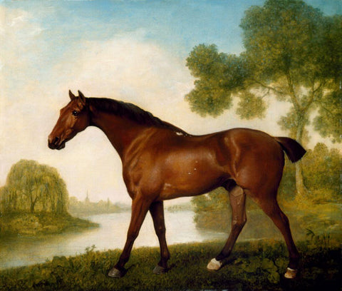 Truss, A Hunter - George Stubbs - Equestrian Horse Painting - Canvas Prints by George Stubbs