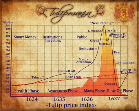 Tulip Price Index - Tulip Mania 1630s - Chart Data Visualization - Finance Stock Business Art Painting - Art Prints