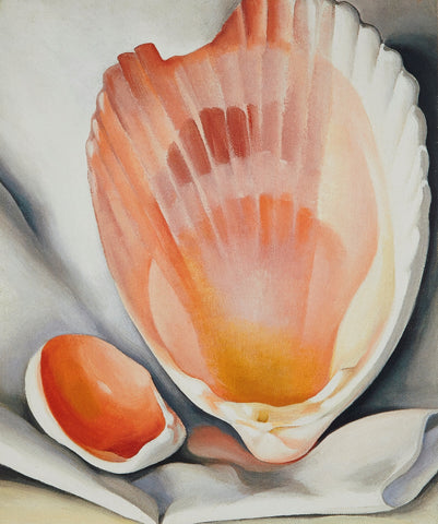 Two Pink Shells - Canvas Prints