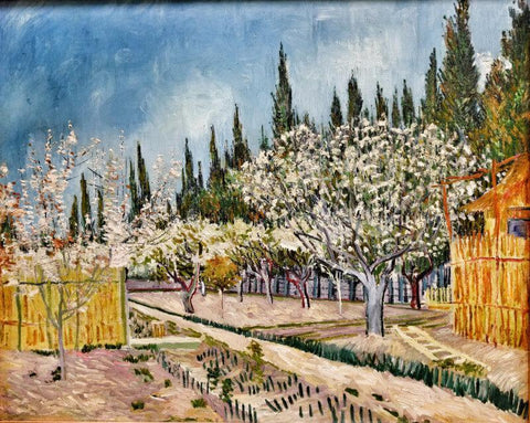 Orchard Bordered By Cypresses (1888) - Posters by Vincent Van Gogh