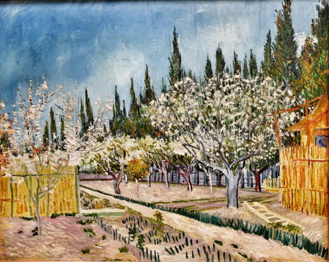 Orchard Bordered By Cypresses (1888) by Vincent Van Gogh
