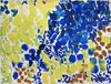 Untitled 1960 - Lynne Drexler - Abstract Floral Painitng - Large Art Prints