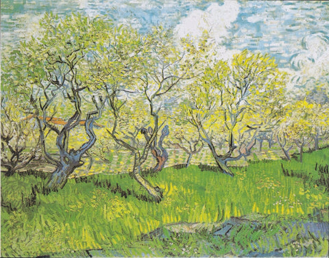 Blühender Obstgarten - Posters by Vincent van Gogh