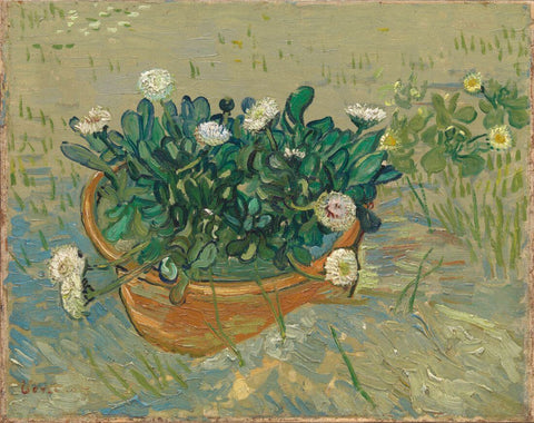 Daisies, Arles by Vincent Van Gogh
