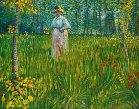 A Woman Walking In A Garden - Framed Prints by Vincent Van Gogh