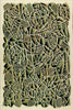 Vegetation - Abstract Art Painting - Canvas Prints