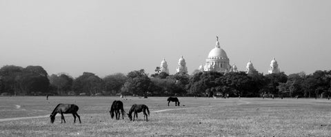 Victoria Memorial Overlooking The Maidan - Framed Prints