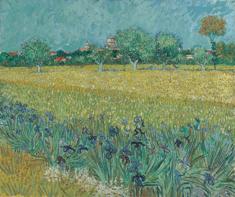 View of Arles with Field of Irises May 1888 Arles Spring - Art Prints