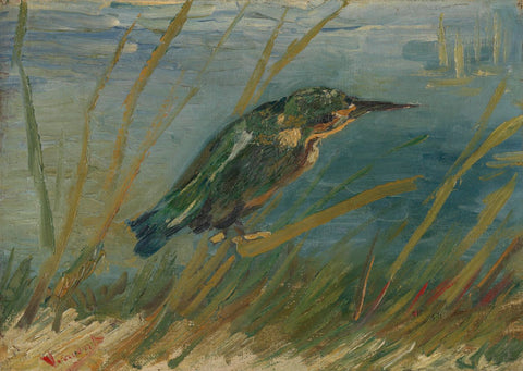 Kingfisher by the Waterside - Life Size Posters