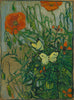 Lilies and Butterflies - Framed Prints