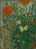 Lilies and Butterflies - Posters