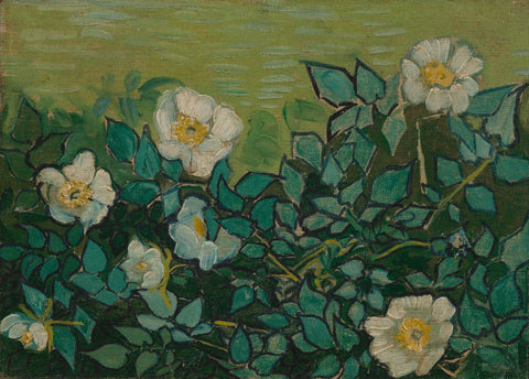 Wild Roses - Framed Prints by Vincent Van Gogh