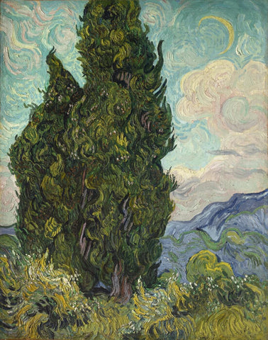 Cypresses - Large Art Prints