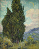 Cypresses - Canvas Prints