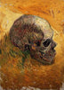 Skull of a Skeleton - Framed Prints