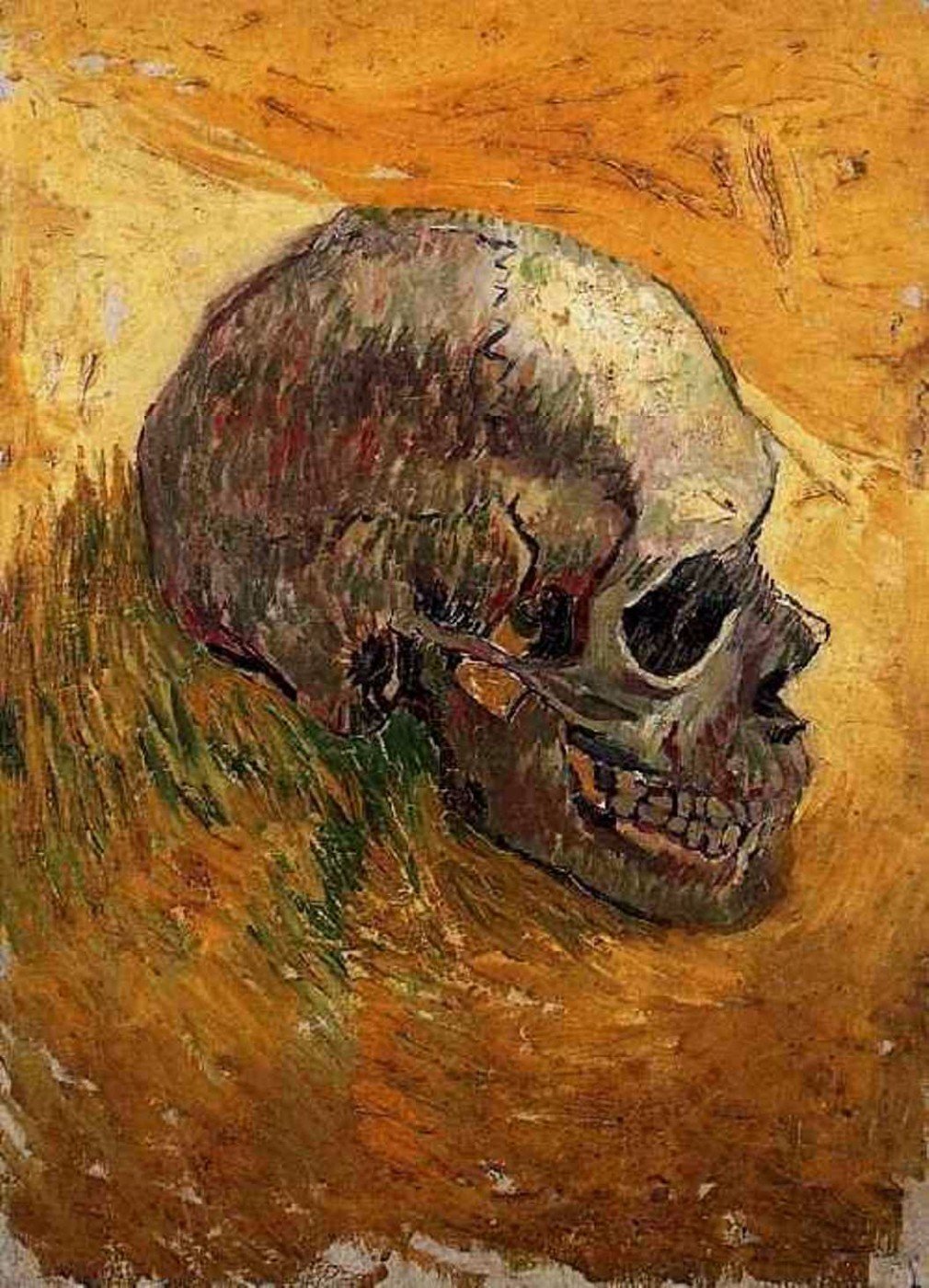 famous skull drawing