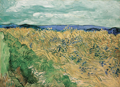 Vincent Van Gogh - Wheatfield With Cornflowers - Large Art Prints by Vincent Van Gogh