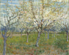Vincent Van Gogh - de roze boomgaard - The Pink Orchard - Posters